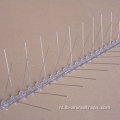 Lange plastic duivenbesturingspieken Anti -vogelspikes